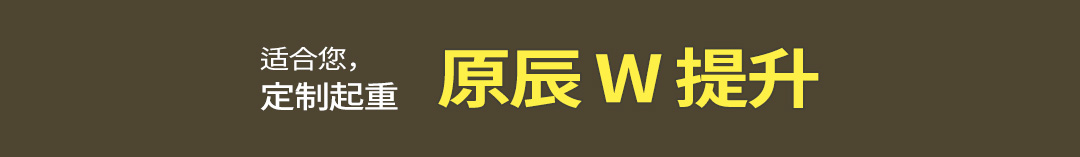 适合您，定制起重 原辰 W 提升