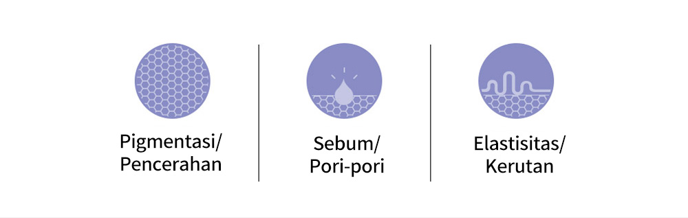 Pigmentasi/Pencerahan , Sebum/Pori-pori , Elastisitas/Kerutan