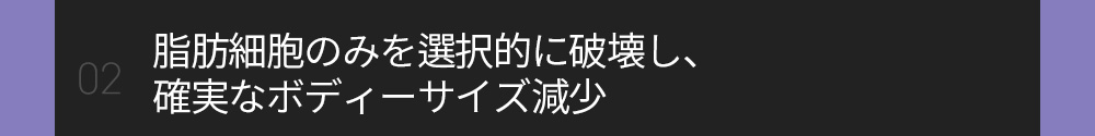 02 脂肪細胞のみを選択的に破壊し、確実なボディーサイズ減少