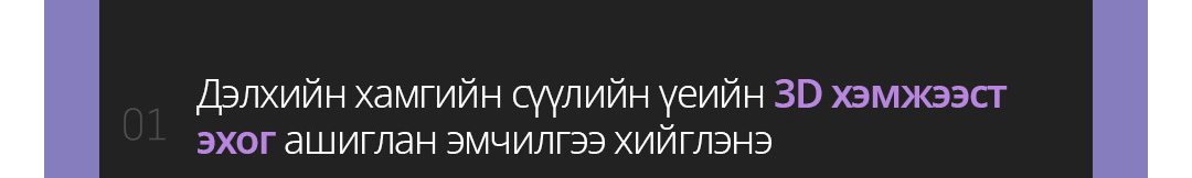 Дэлхийн хамгийн сүүлийн үеийн 3D хэмжээст эхог ашиглан эмчилгээ хийглэнэ