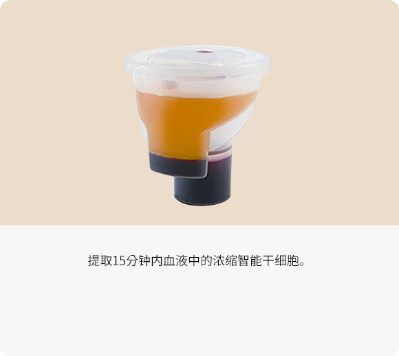 干细胞程序的特征