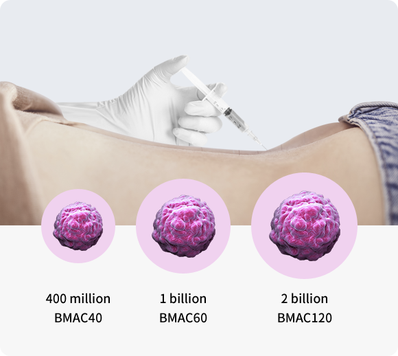 BMAC40 400 million /BMAC60 1 billion / BMAC120 2 billion
