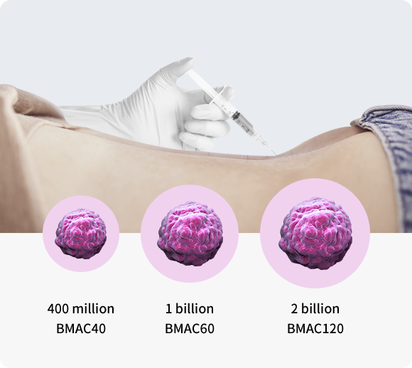 Features of W-ell Procedure3