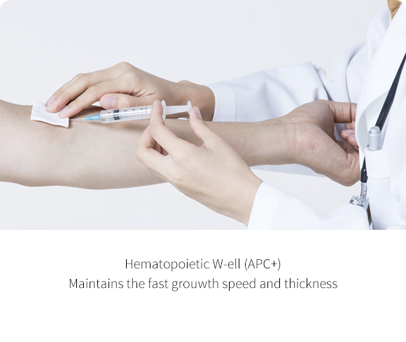 W-ell Hematopoietik (APC+)