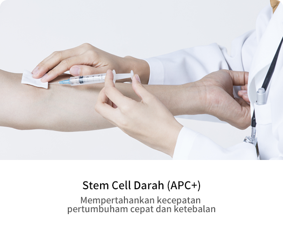W-cell Hematopoietik (APC +)