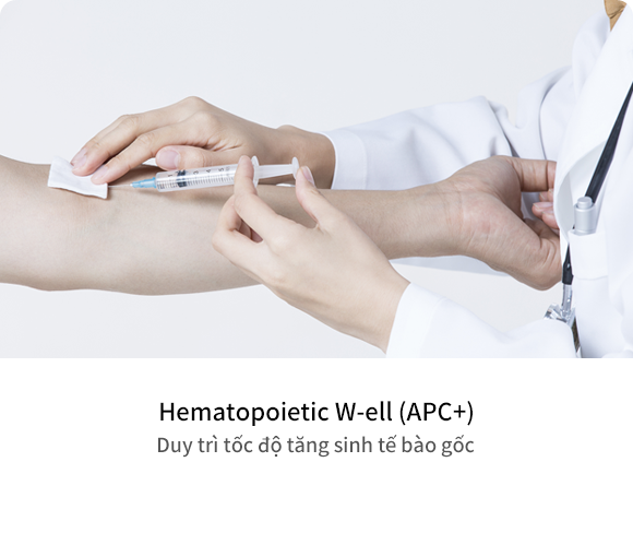 Hematopoietic W-ell (APC+) Duy trì tốc độ tăng sinh tế bào gốc