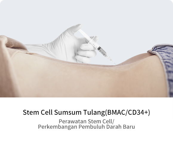 W-cell Tulang Sumsum Tulang (BMAC/CD34+)