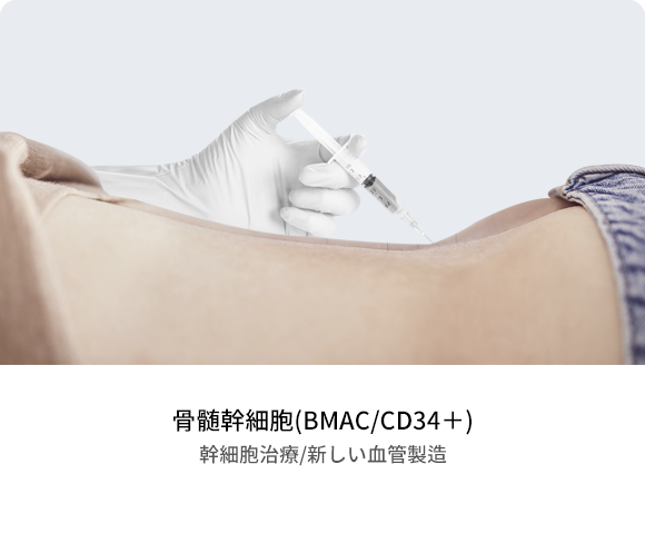 骨髄幹細胞(BMAC/CD34＋)