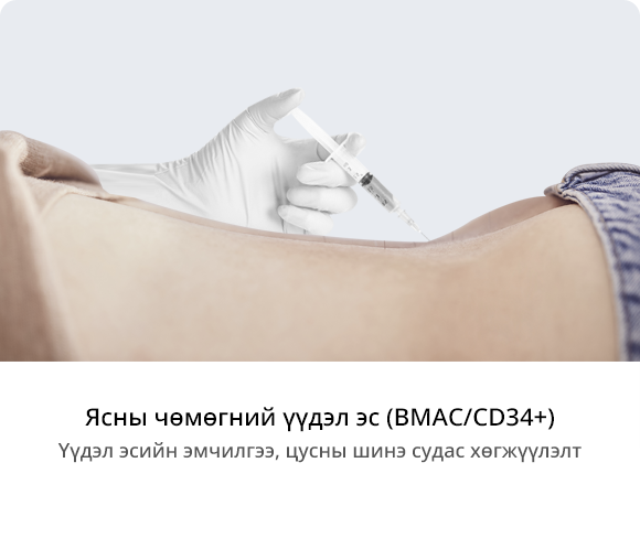 Ясны чөмөгний үүдэл эс (BMAC/CD34+)