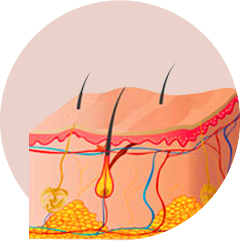 Bulk Grafting on Single Layer