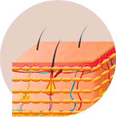 Divided Grafting on Multiple layers