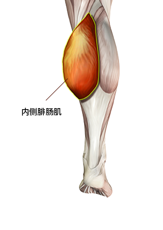 小腿手术方法 1