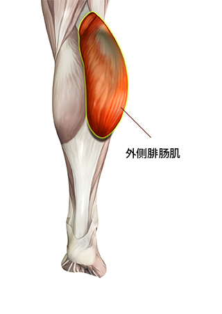 小腿手术方法 2