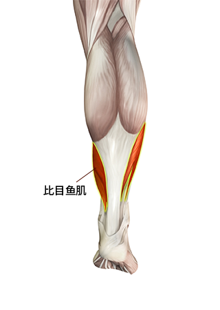 小腿手术方法 3