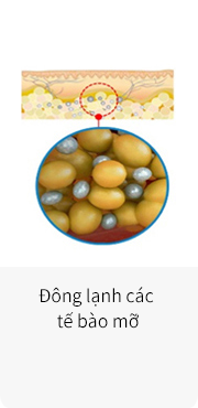 Phá hủy các tế bào mỡ đông lạnh