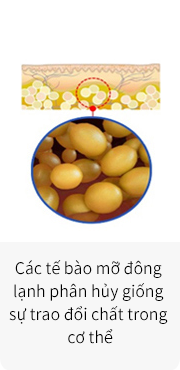 Nguyên lý thực hiện