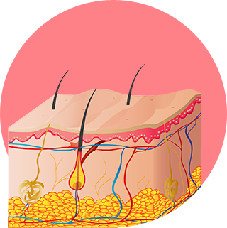 Fat tissue