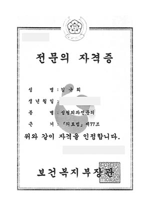 Kim Kyu Hee - WJ Wonjin Plastic Surgery