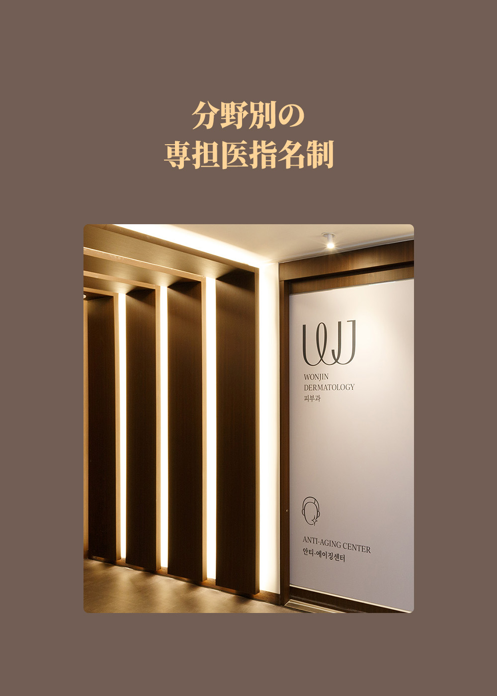 WJ Wonjin Plastic Surgery Dedicated doctor designation system for each field