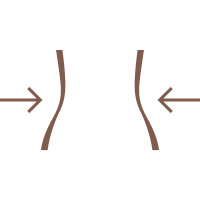 body contour